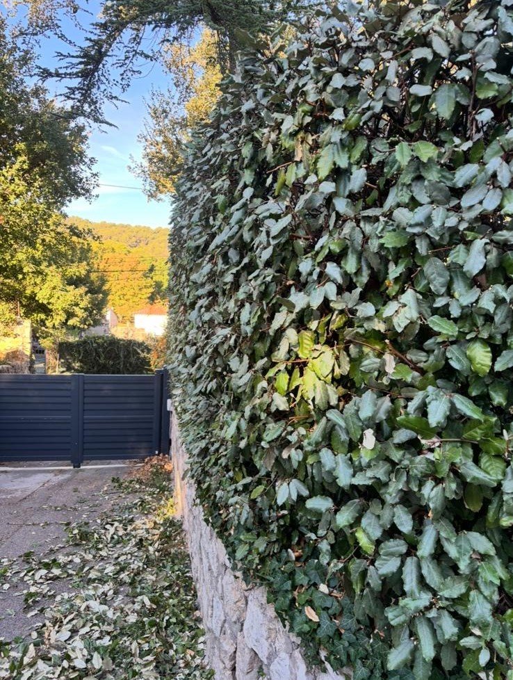 Massif de fleurs coloré et bien entretenu